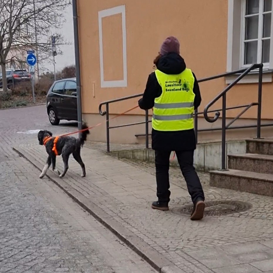 20260125_104820(4) (1)