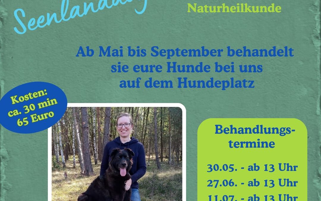 Osteopathie am Hund