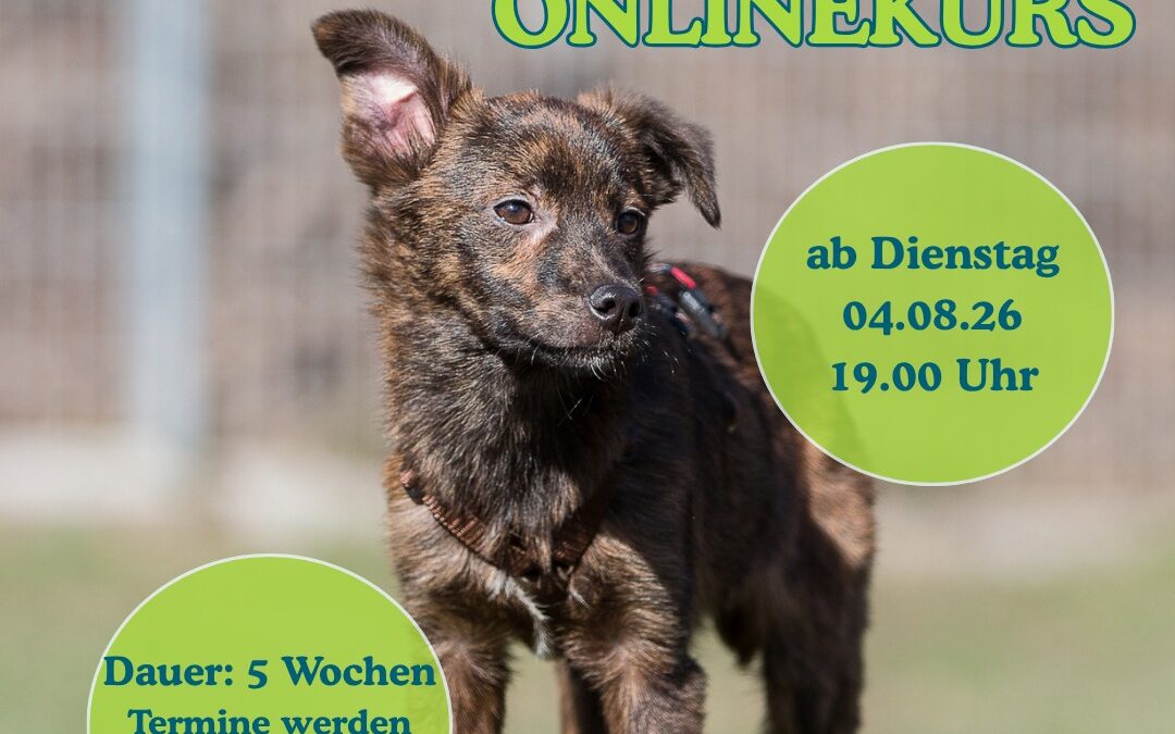 Sicher von Anfang an
